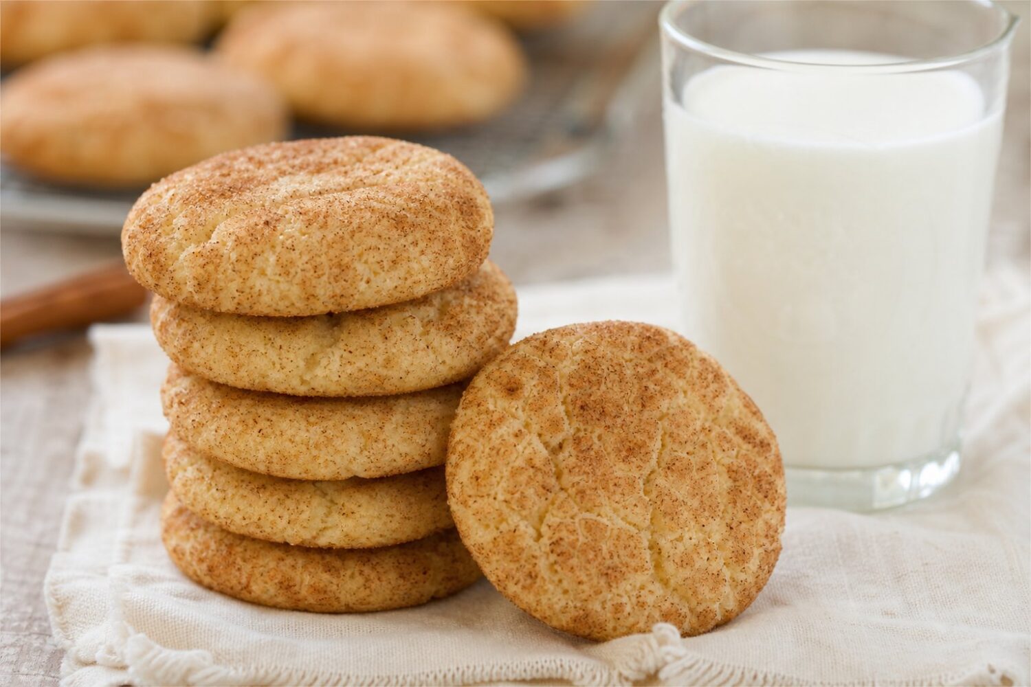 snickerdoodles angle b